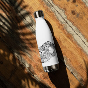 Stainless steel water bottle