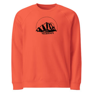 Unisex organic raglan sweatshirt